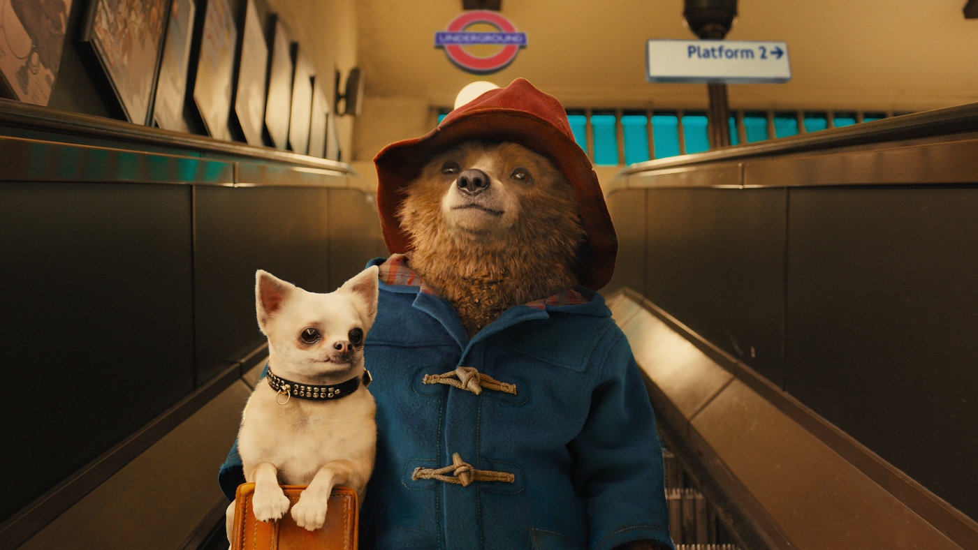 Trailer bo phim 'Gau Paddington' hinh anh