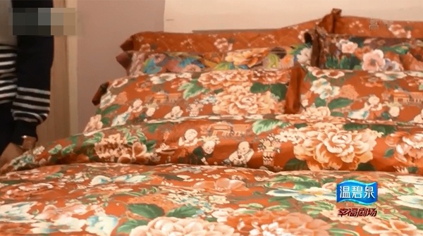 Đây chính là lựa chọn của Hà đại luật sư.