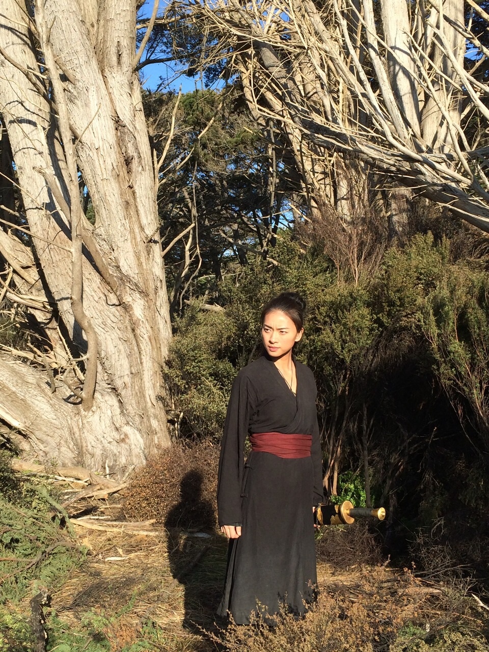 Tạo hình của Ngô Thanh Vân trong Ngọa hổ tàng long II: Thanh Minh bảo kiếm.