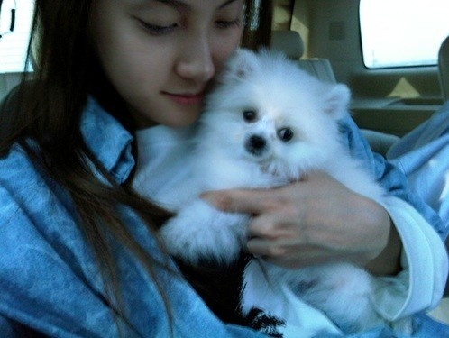 Gyuri của Kara là một người dị ứng với lông chó nhưng cô lại nuôi tới tận 2 chú chó và luôn âu yếm chúng mỗi khi có cơ hội, để làm được điều đó cô đã luôn chuẩn bị sẵn thuốc chống dị ứng 24/24.