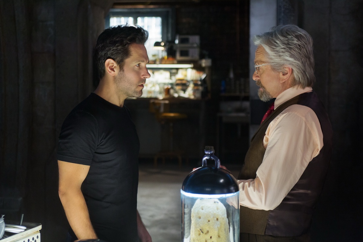 Hank Pym (Michael Douglas) là người sáng chế ra bộ giáp Người Kiến. Ông muốn Scott Lang (Paul Rudd) trộm lại nó từ tay kẻ xấu và kế thừa bộ giáp.