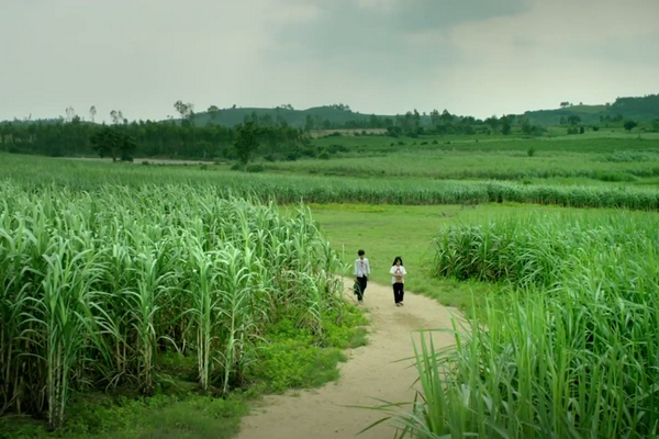'Toi thay hoa vang tren co xanh' tung trailer chinh thuc hinh anh
