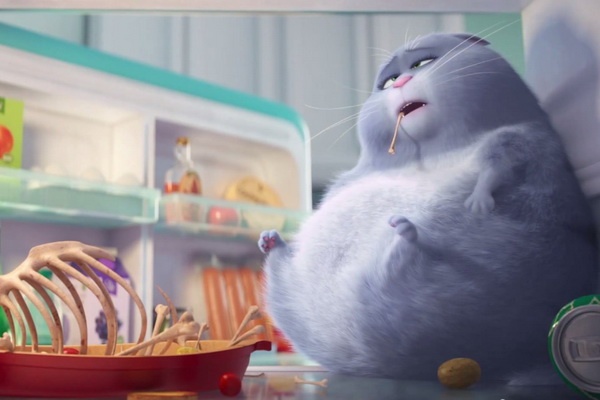 Trailer dau tien bo phim 'The Secret Life of Pets' hinh anh