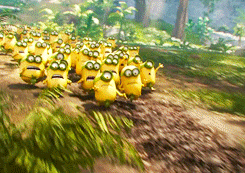 'Minions' khoi chieu tai Viet Nam tu 10/7 hinh anh