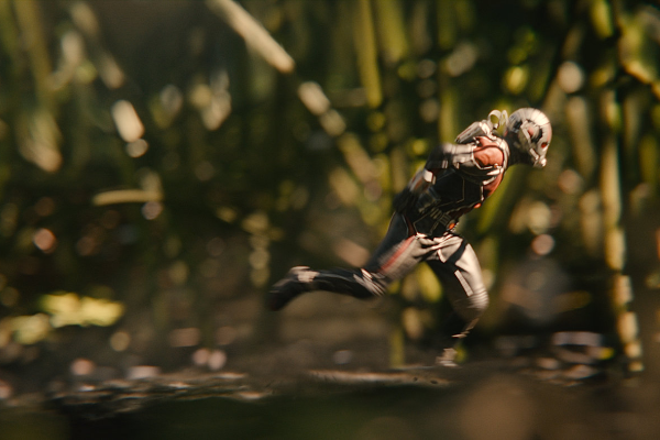 ‘Nguoi Kien’ du kien chiem ngoi phong ve tu ‘Minions’ hinh anh