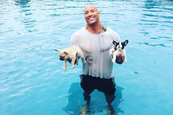 The Rock cuu cho cung khoi chet duoi tai nha rieng hinh anh