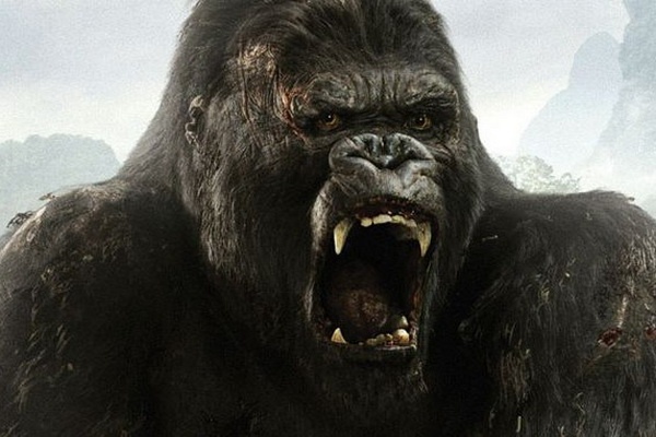 ‘King Kong’ phan moi chinh thuc quay tai Viet Nam hinh anh