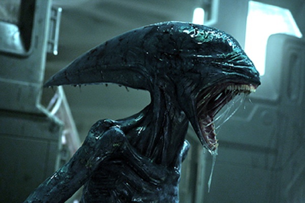 Quai vat Alien va Predator cung hen ngay tro lai hinh anh