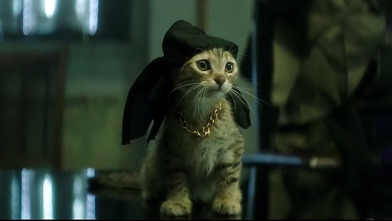 lich chieu phim 2016 anh 3