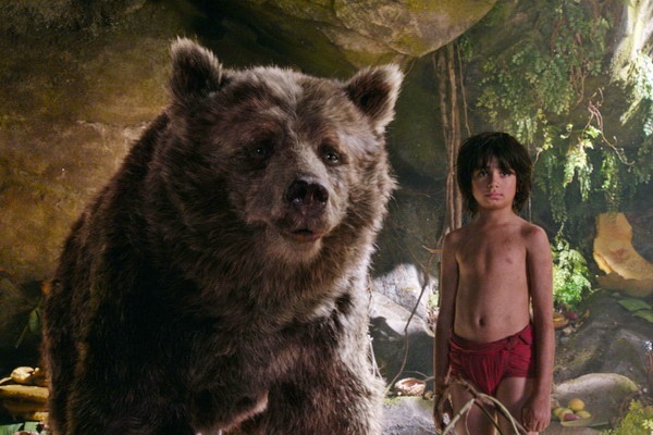 Trailer bo phim 'Cau be rung xanh' hinh anh