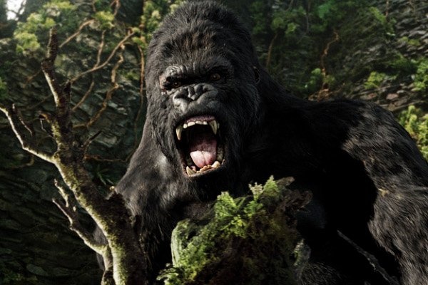 Hang san xuat ‘Kong: Skull Island’ bi kien an cap y tuong hinh anh