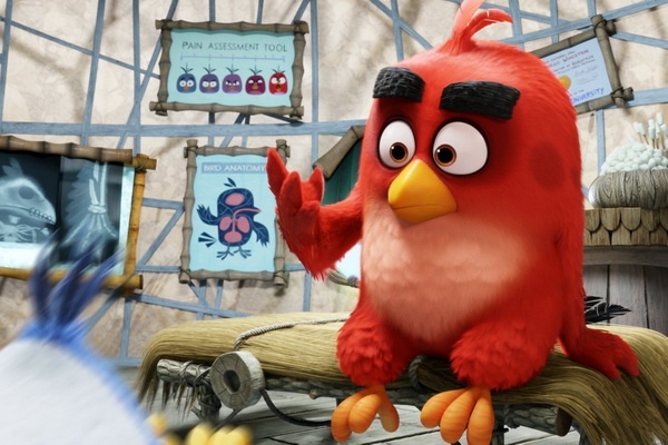 Nhung chu chim dien ha be Captain America tai Bac My hinh anh