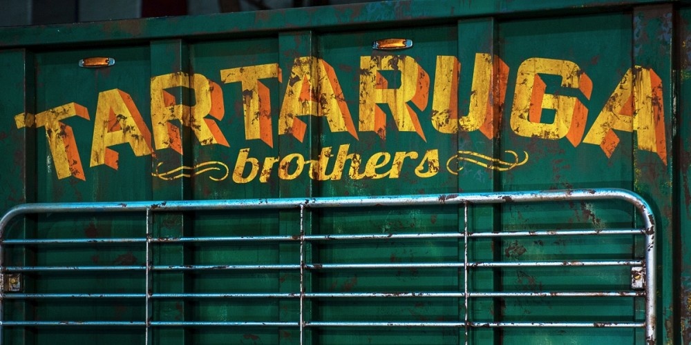 nhung dieu thu vi ve Ninja Rua 2 anh 6