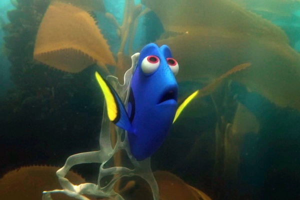 Giai ma chien thang vang doi cua ‘Di tim Dory’ hinh anh