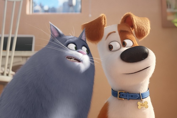 ‘Dang cap thu cung’ nham toi thang loi vang doi tai que nha hinh anh