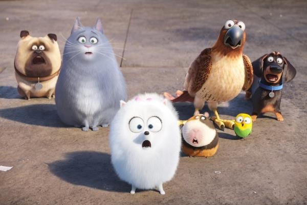 ‘Dang cap thu cung’ xac lap ky luc phong ve moi hinh anh