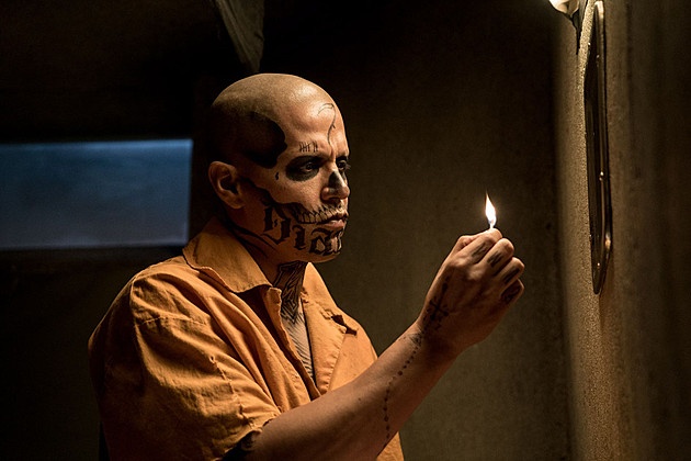 Nhung cau hoi hoc bua tu ‘Suicide Squad’ hinh anh