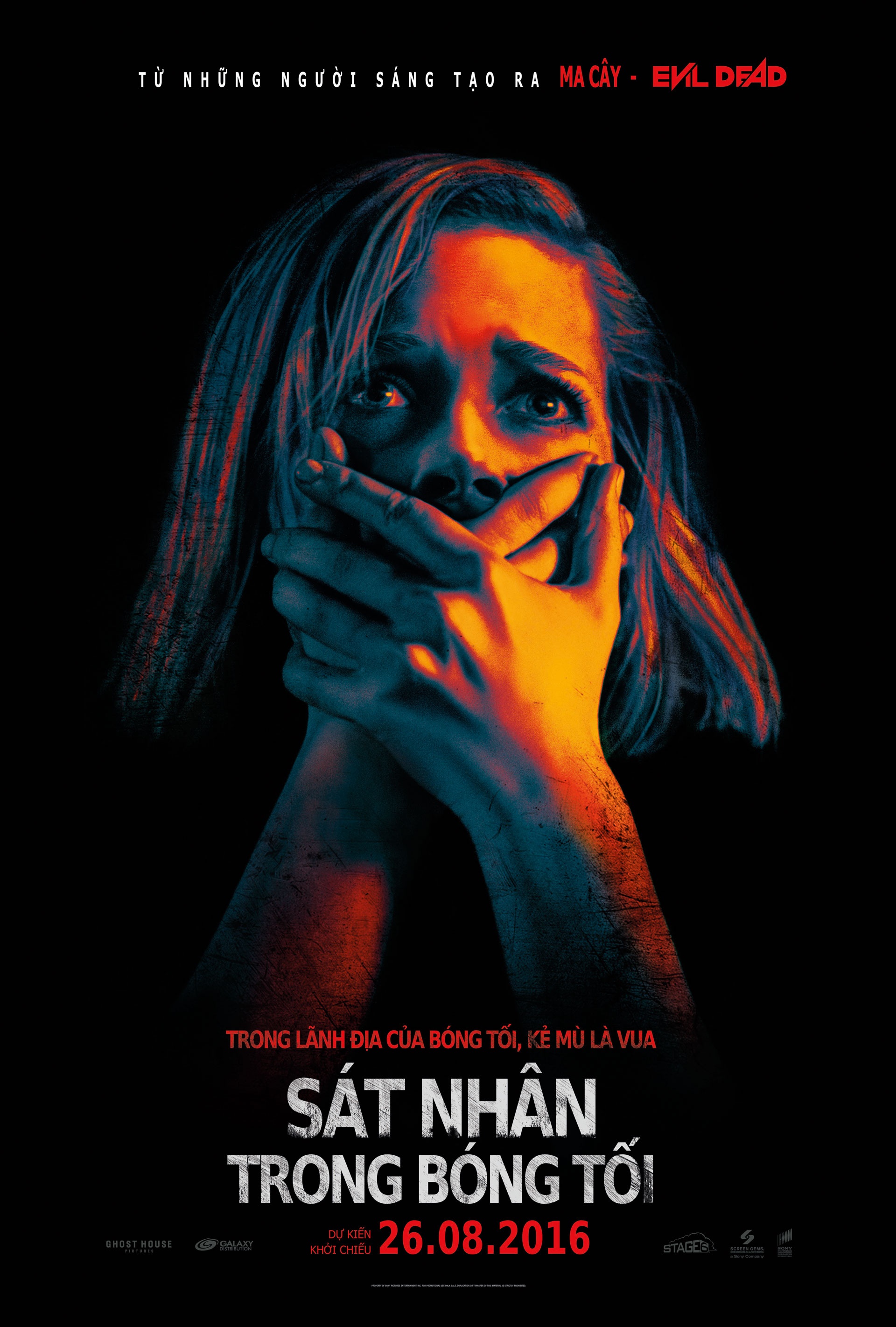 review phim Don't Breathe ảnh 1 review phim Don't Breathe anh 1