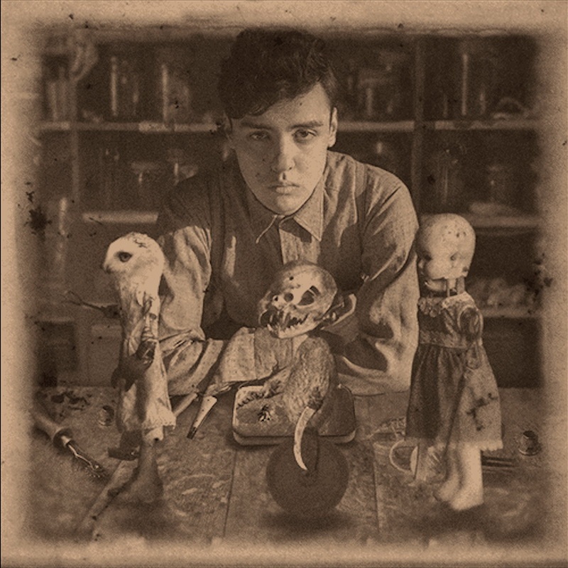 phim Mai am la ky cua co Peregrine anh 8