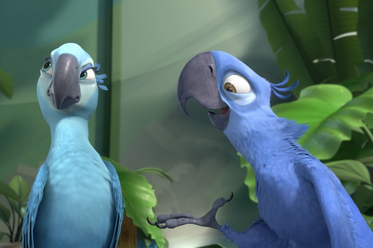 chim trong phim anh 4