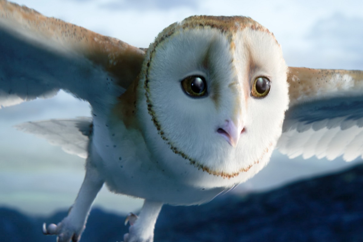 chim trong phim anh 5