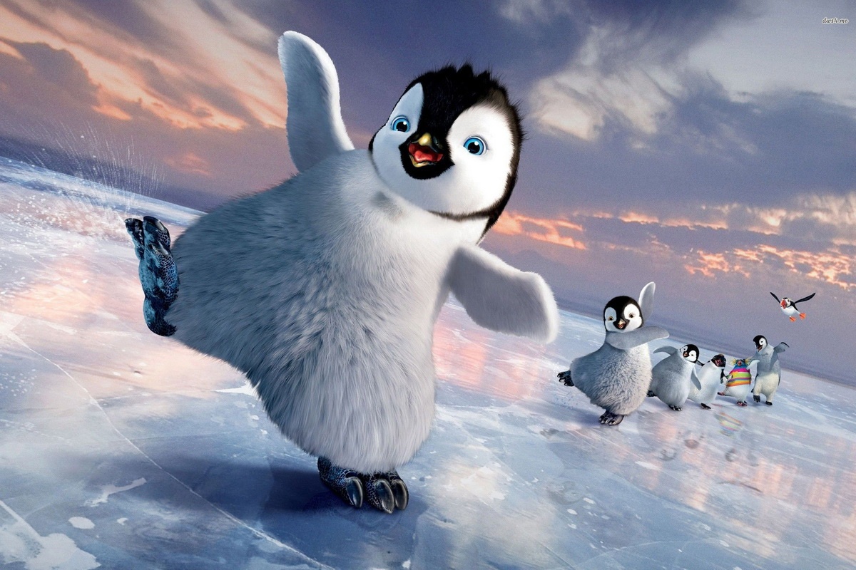 chim trong phim anh 7