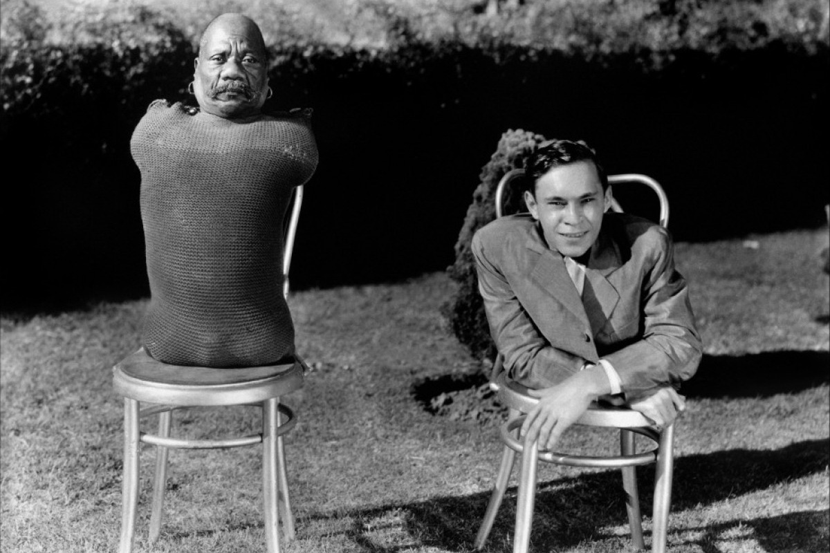 phim kinh di khien khan gia bi ngat anh 10