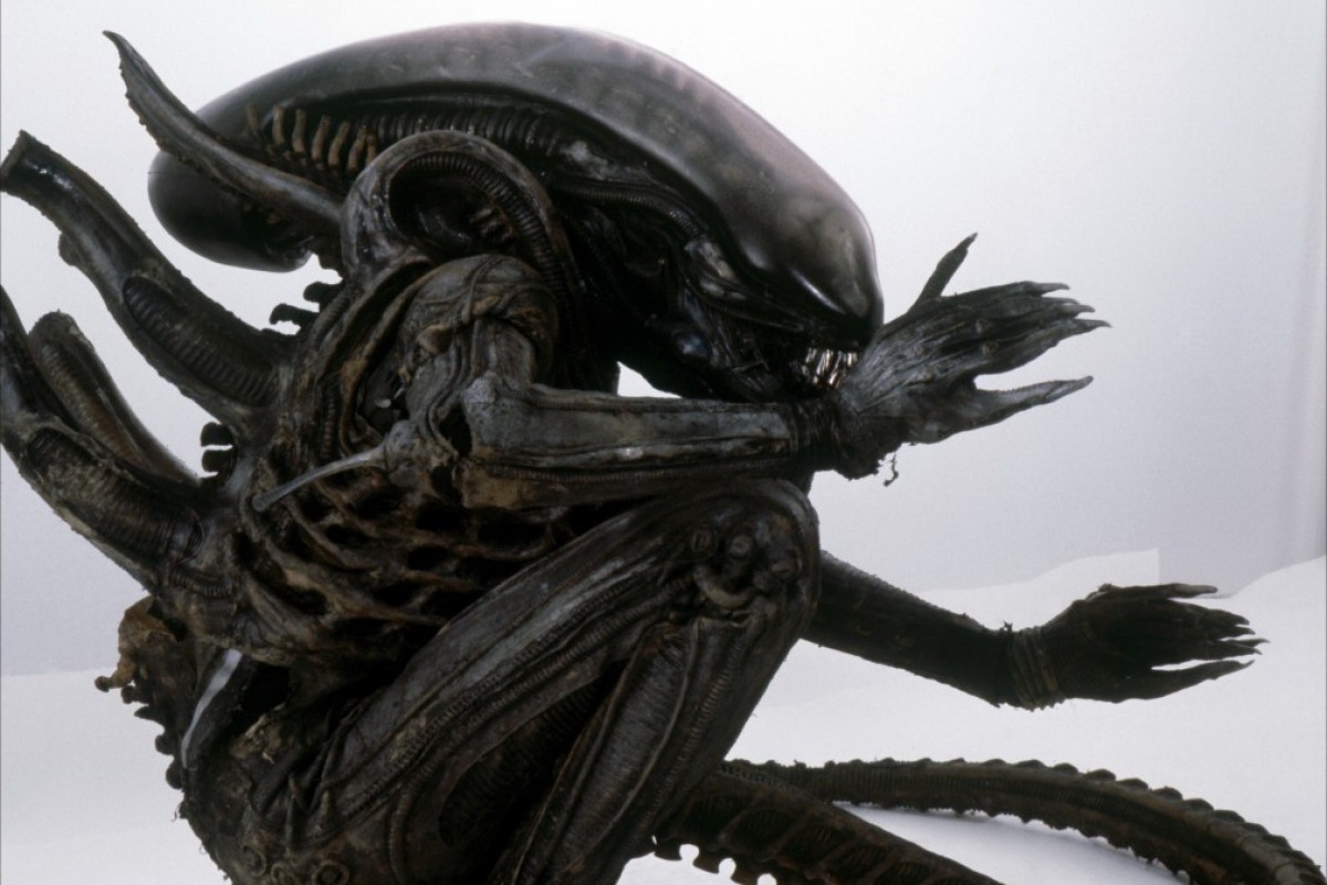 dien vien dong phim kinh di anh 5