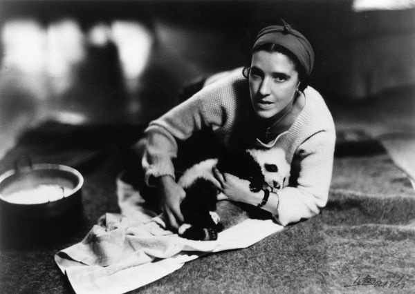 phim cuu gau truc anh 1