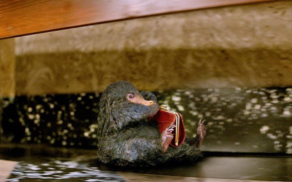 cac sinh vat trong Fantastic Beasts anh 2