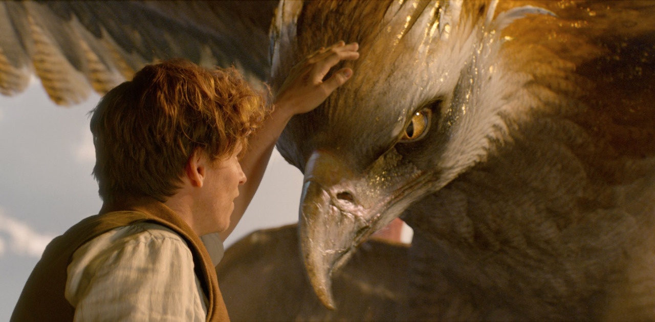 cac sinh vat trong Fantastic Beasts anh 6