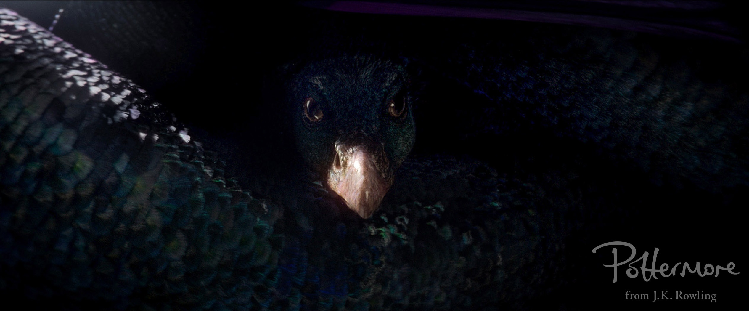 cac sinh vat trong Fantastic Beasts anh 7