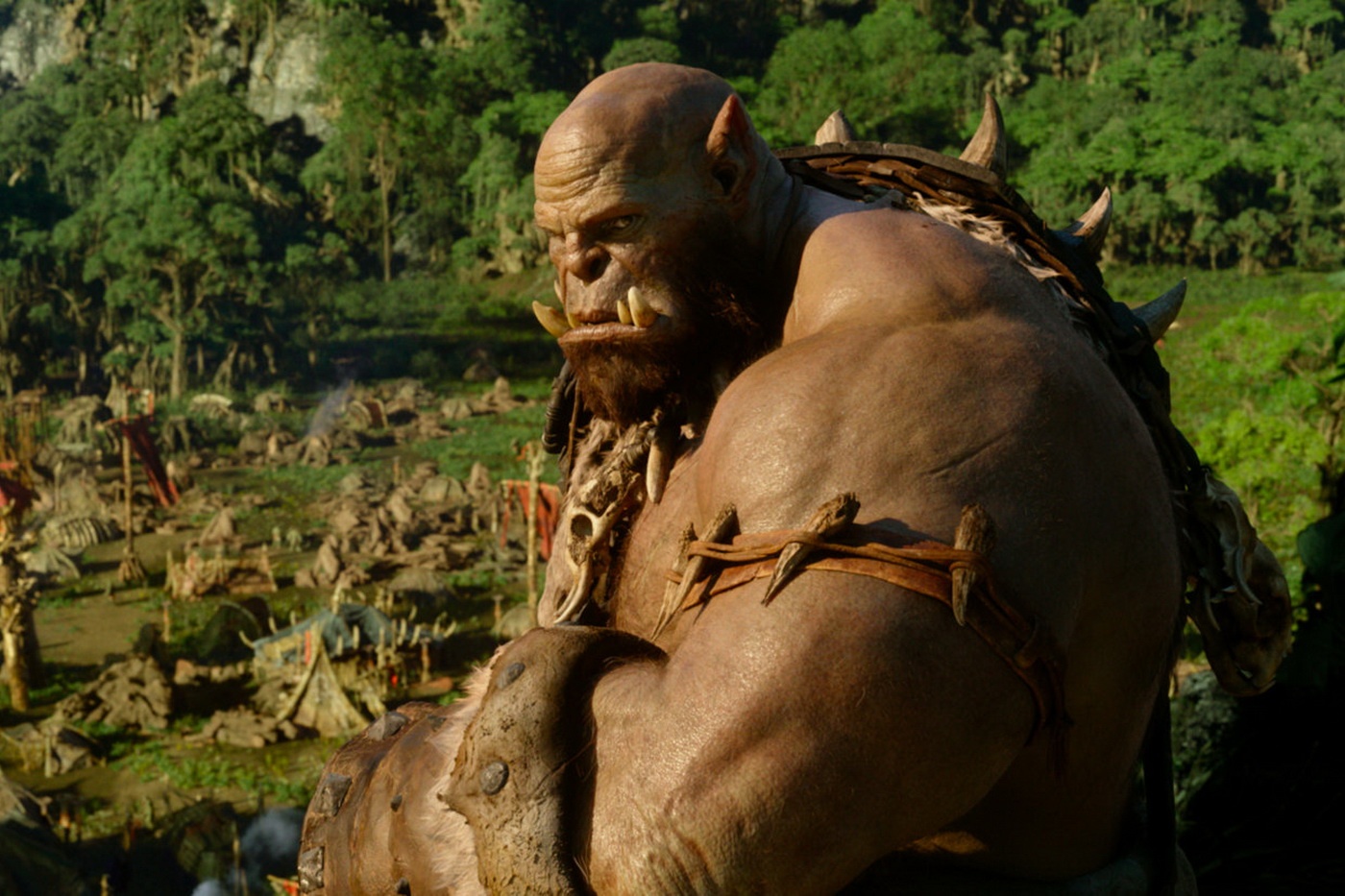 ky luc phong ve 2016 anh 8