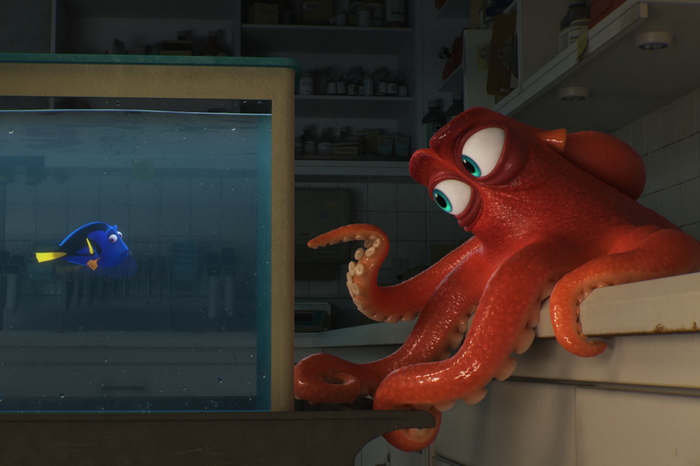 ky luc phong ve 2016 anh 9