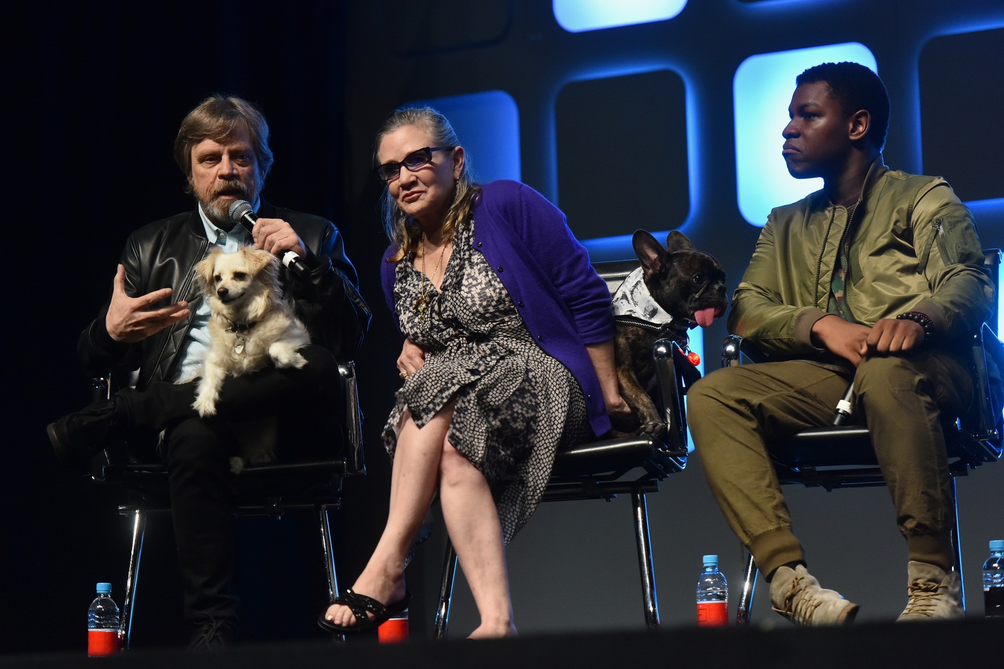 Carrie Fisher qua doi anh 2