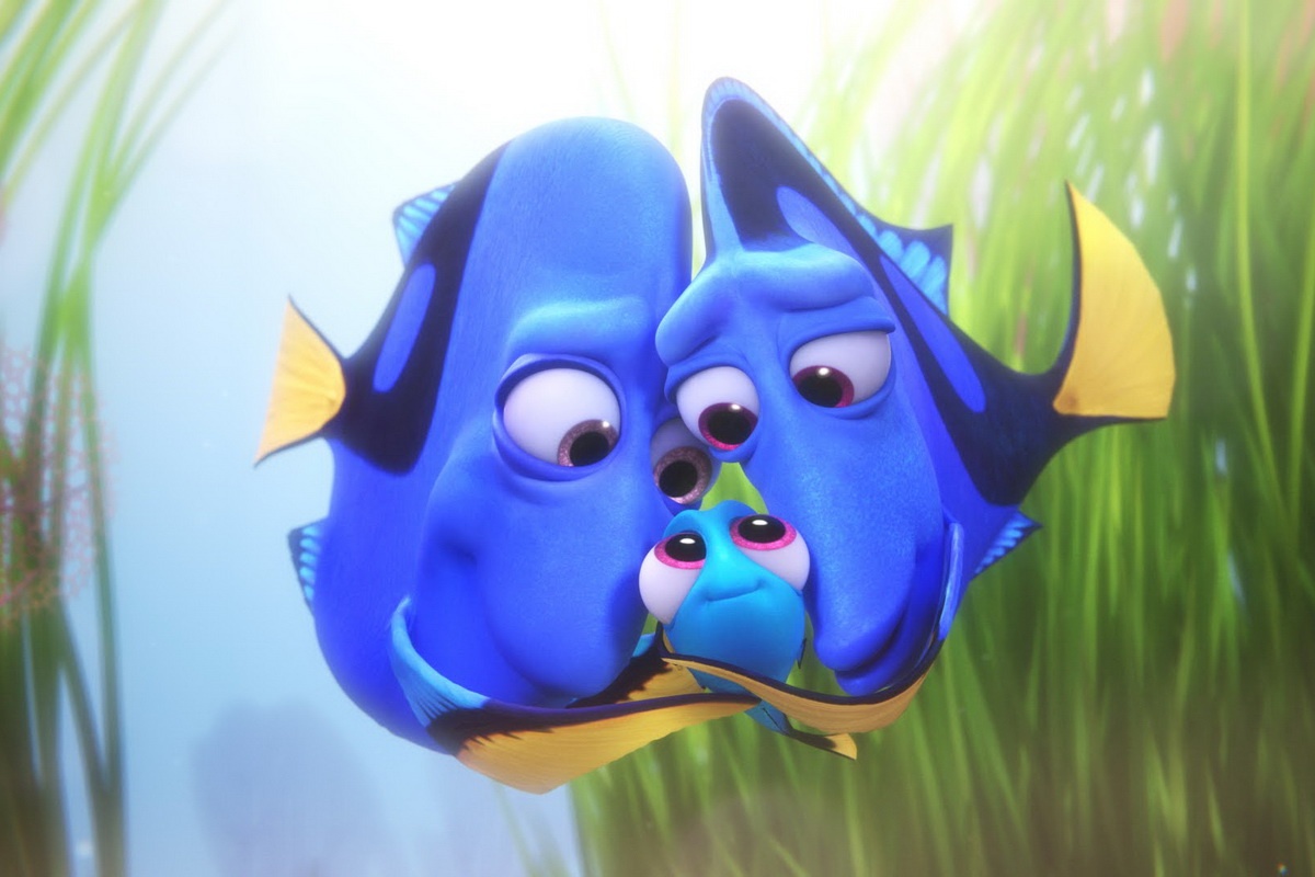 đề cử Oscar 2017 ảnh 9 de cu Oscar 2017 anh 9