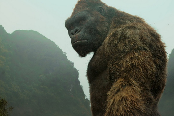 Truoc khi 'den' Viet Nam, King Kong thay doi nhu the nao? hinh anh