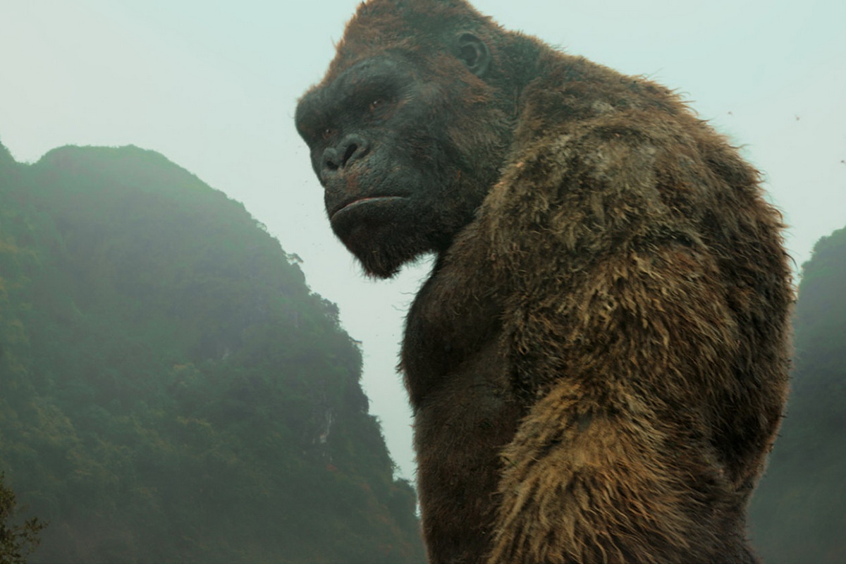 ‘Kong: Skull Island’ thu 104 ty dong tai Viet Nam sau 7 ngay hinh anh