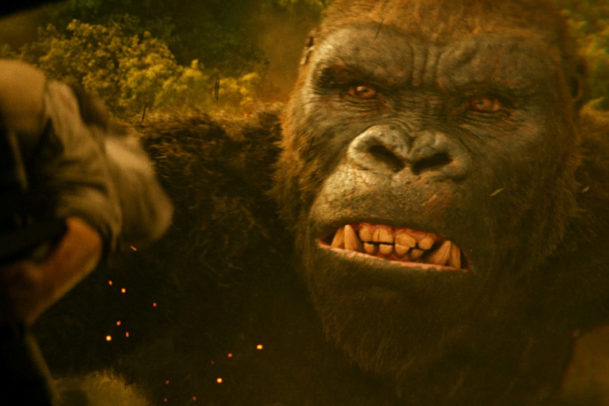 doanh thu Kong: Skull Island ảnh 1 doanh thu Kong: Skull Island anh 1