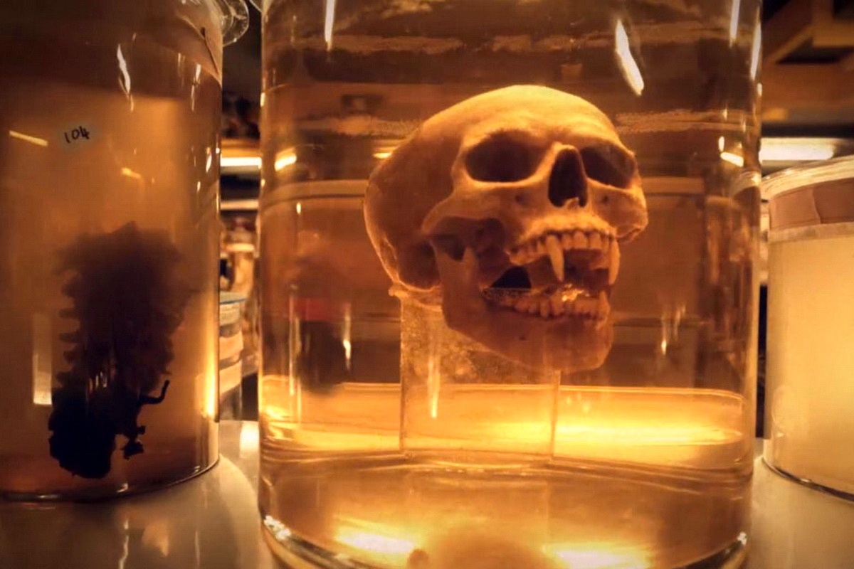 phim Xac uop Ai Cap 2017 anh 8