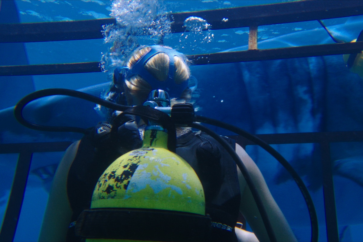 review phim 47 Meters Down ảnh 3 review phim 47 Meters Down anh 3