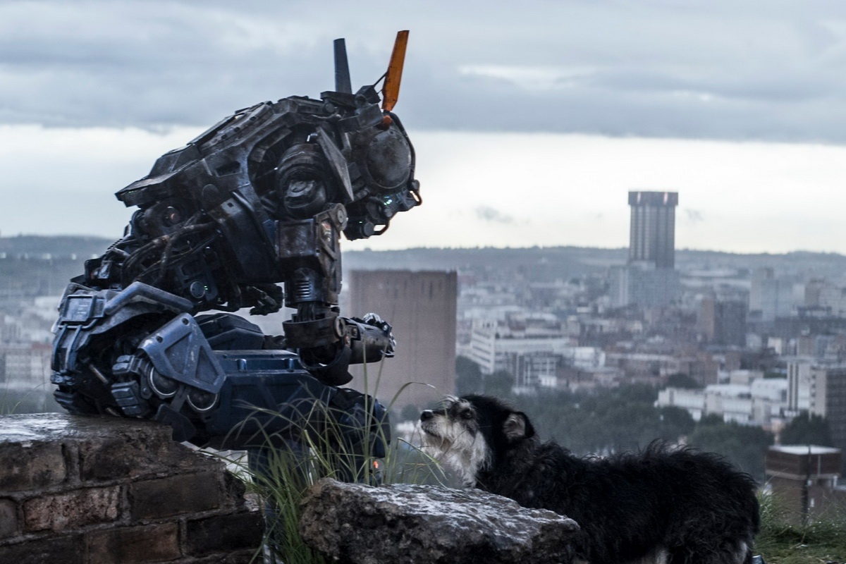 nguoi may duoc yeu men trong phim anh 10