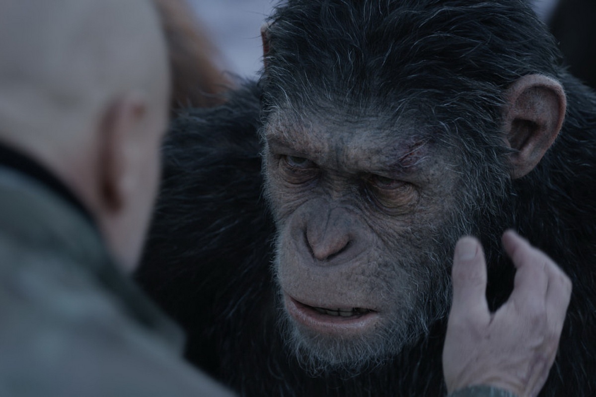 mua phim he 2017 anh 9