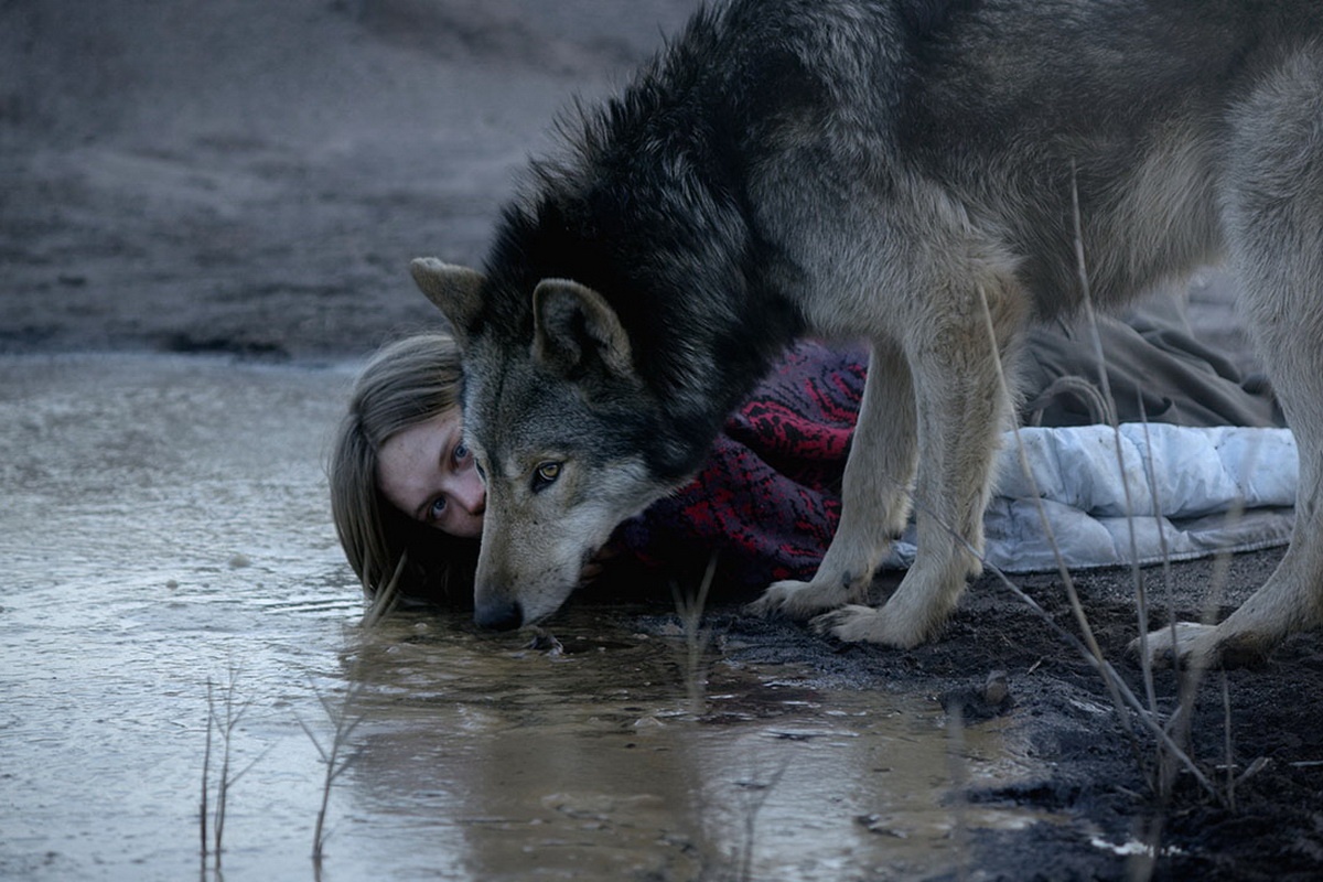 lien hoan phim Duc tai Viet Nam 2017 anh 8