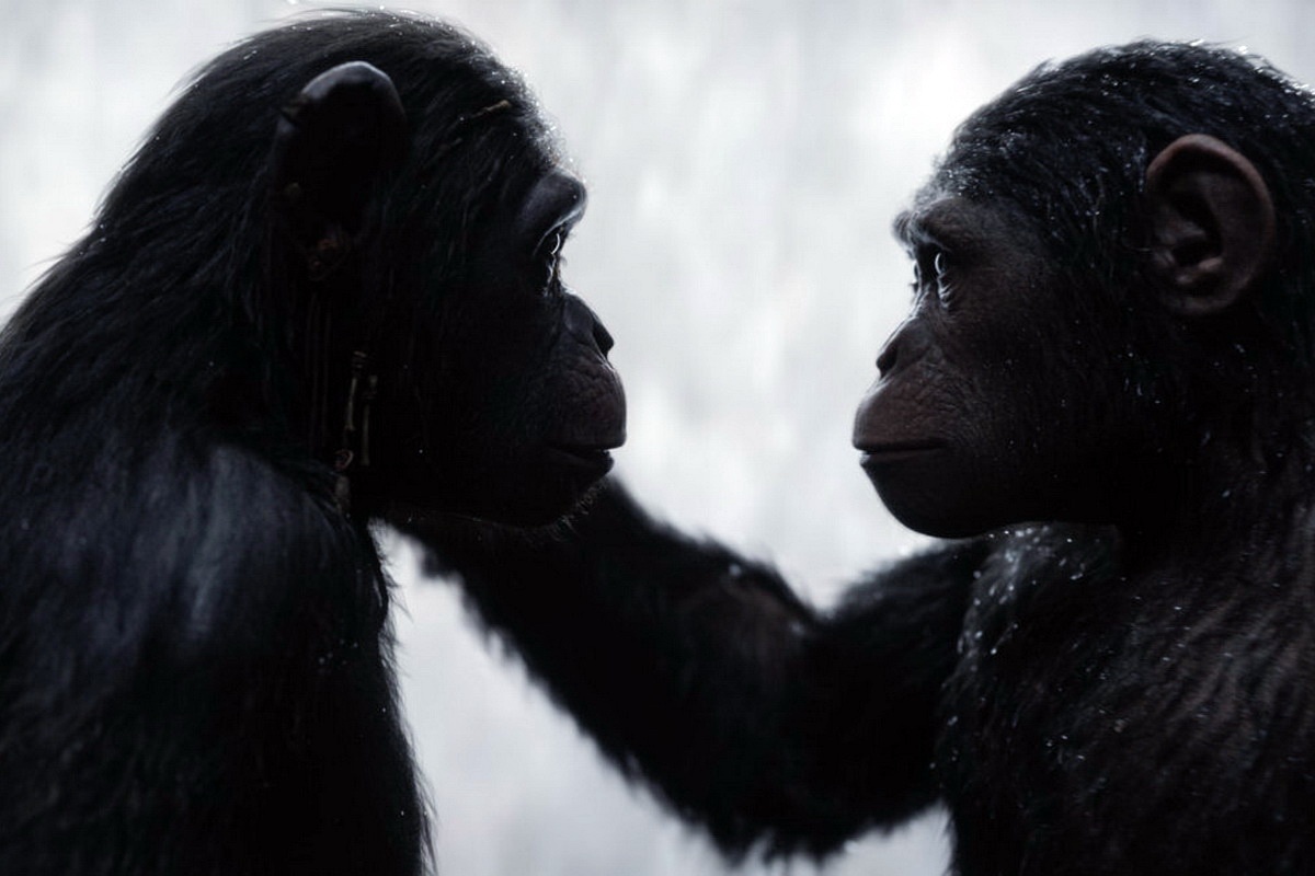 phim co ky xao dep nhat nam anh 10