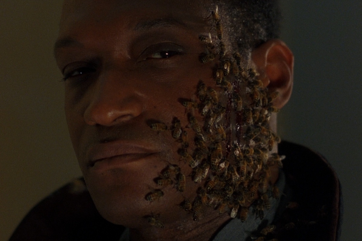 phim bi dinh tre anh 6