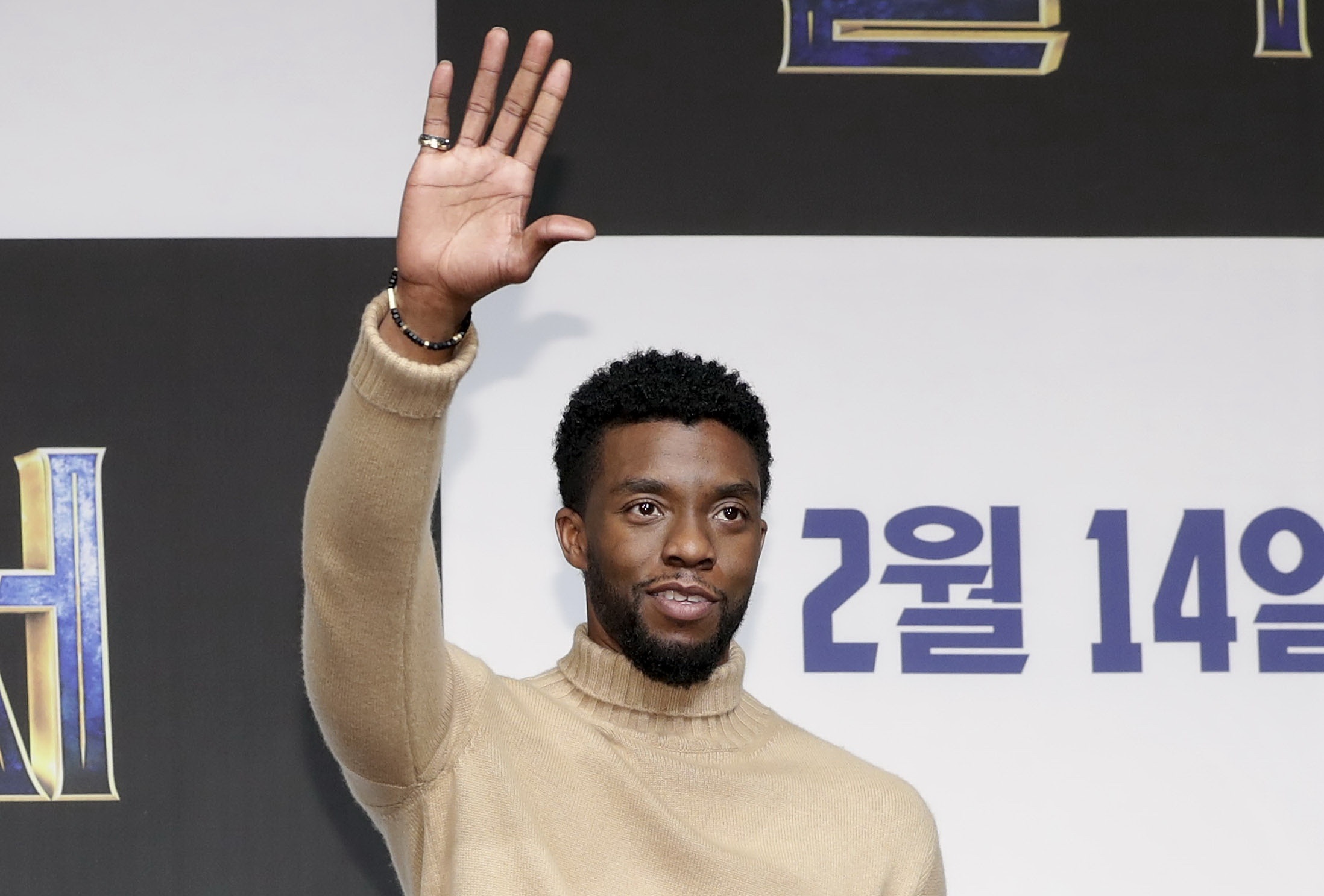 Dan sao 'Black Panther' gui loi chuc Tet toi khan gia Viet Nam hinh anh