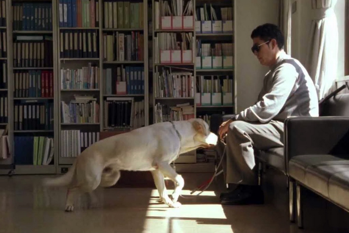 phim ve loai cho anh 2