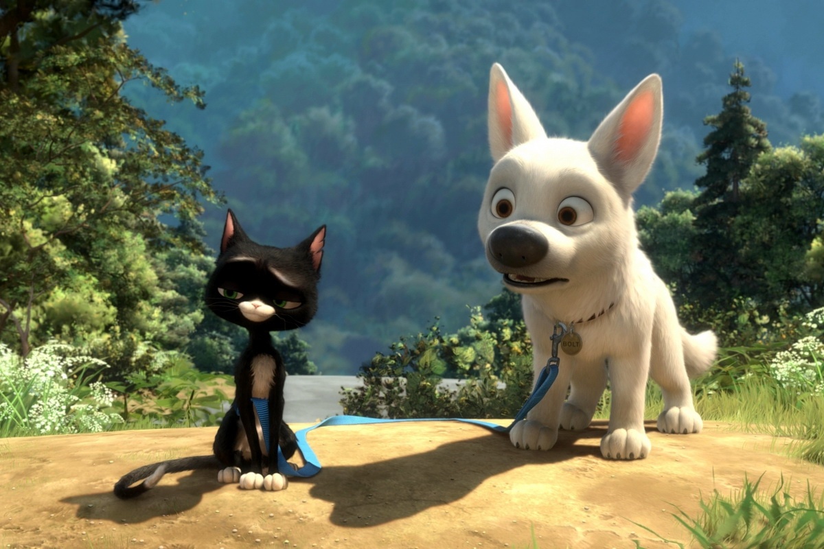 phim ve loai cho anh 7