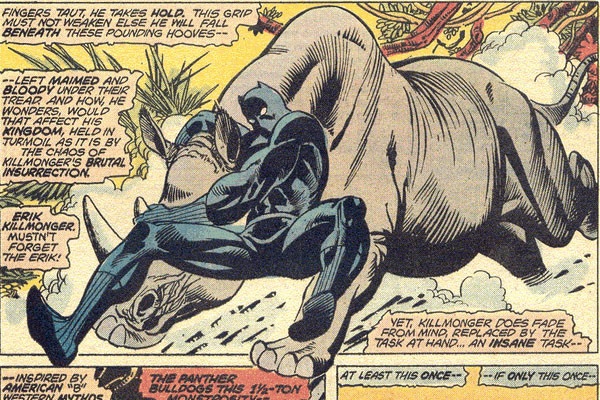 phim Black Panther anh 13